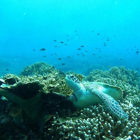 4 Sisters Divers Bunaken Dış mekan fotoğraf