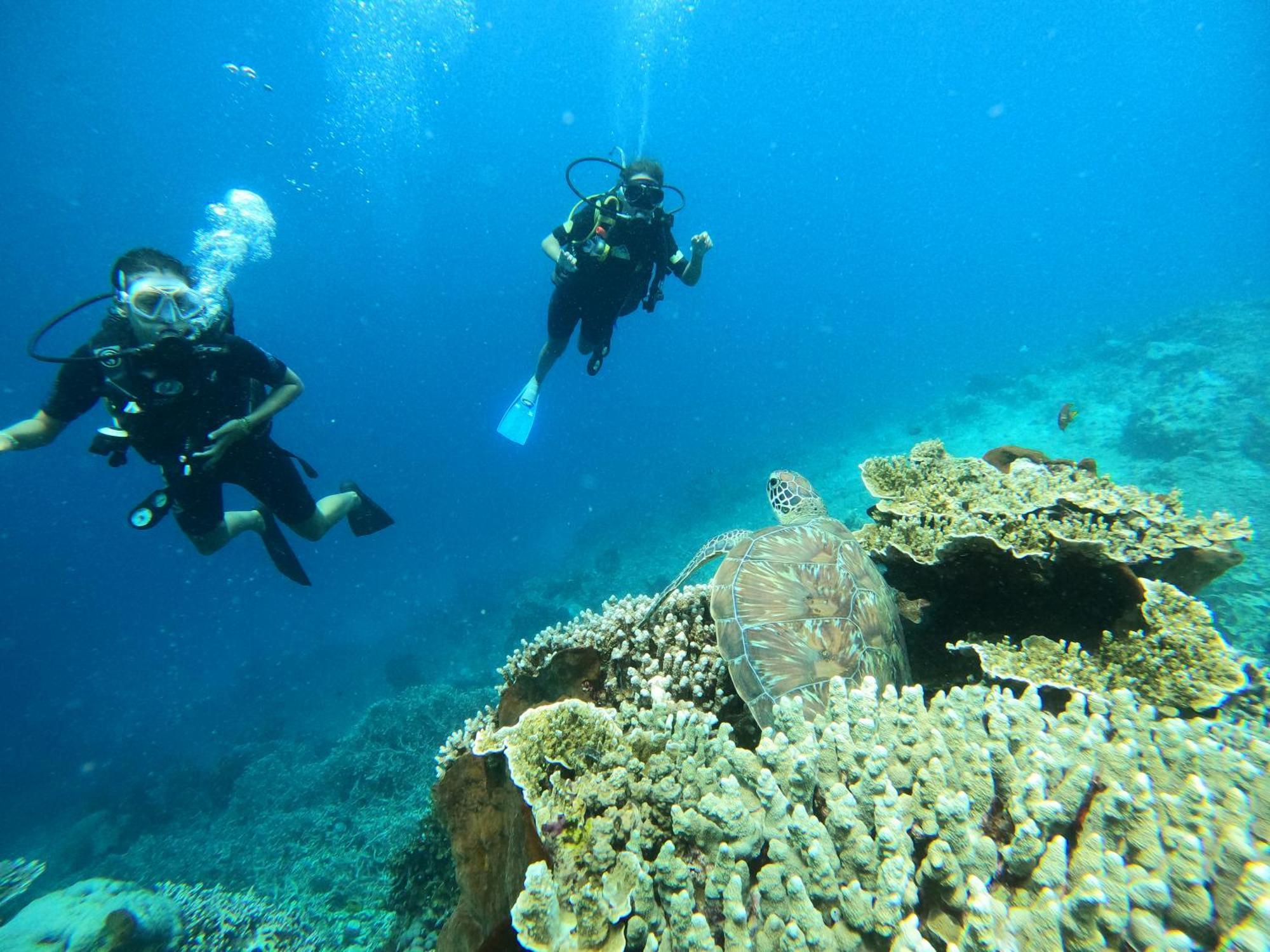 4 Sisters Divers Bunaken Dış mekan fotoğraf