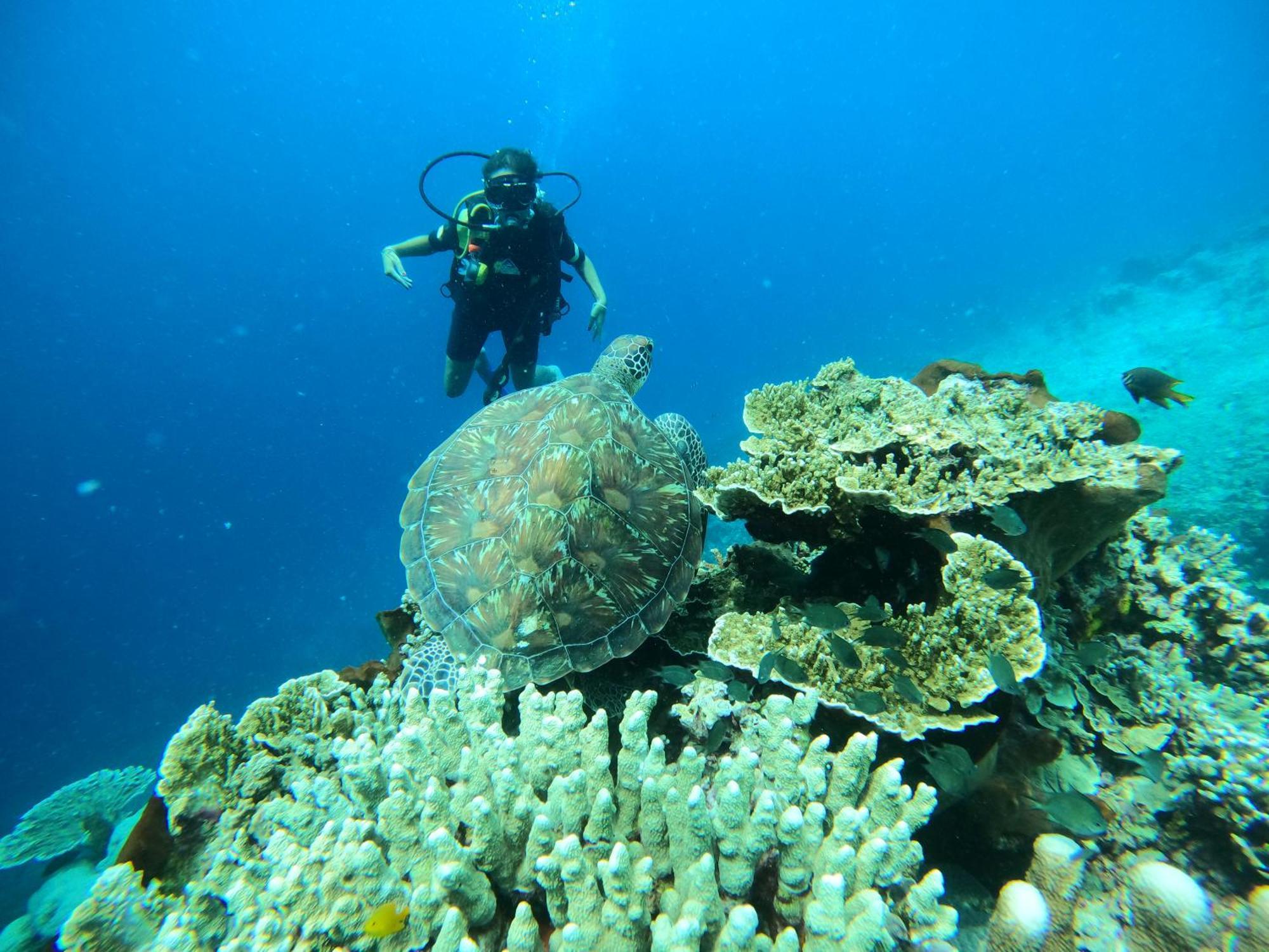 4 Sisters Divers Bunaken Dış mekan fotoğraf