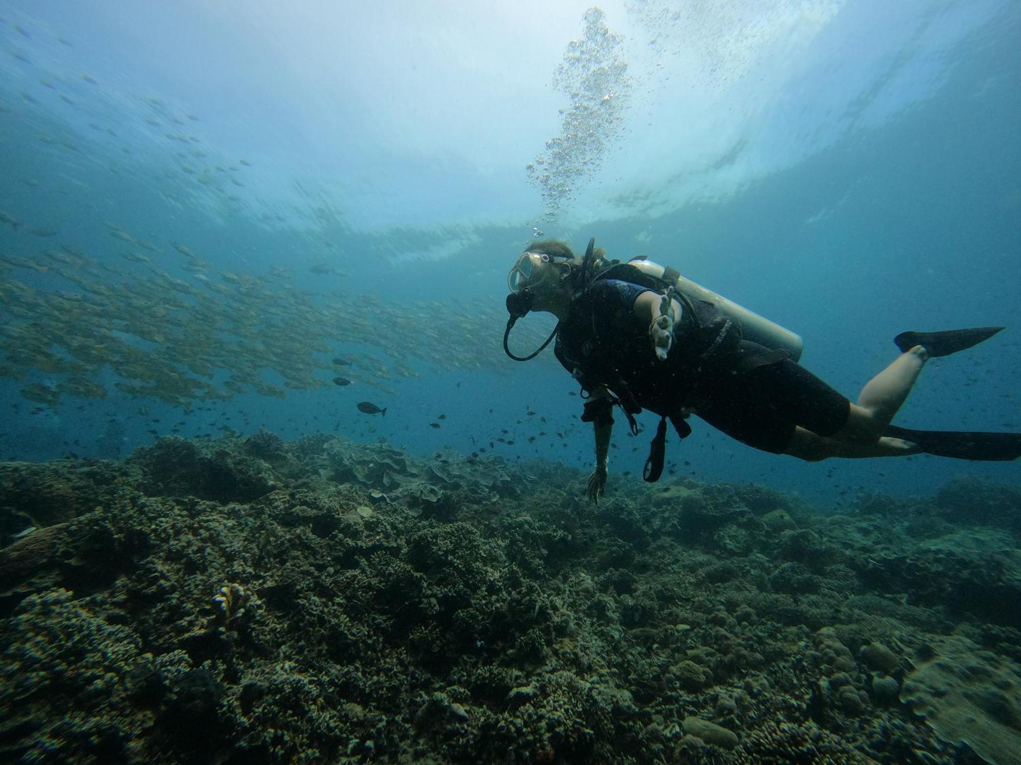 4 Sisters Divers Bunaken Dış mekan fotoğraf